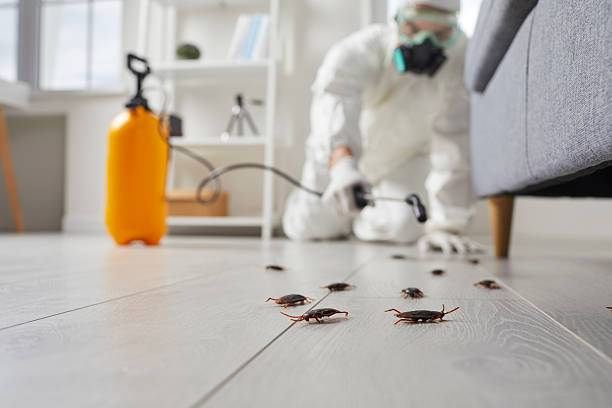 Trusted Bed Bug Control service in Rockwood, VA - Nex Pest Control